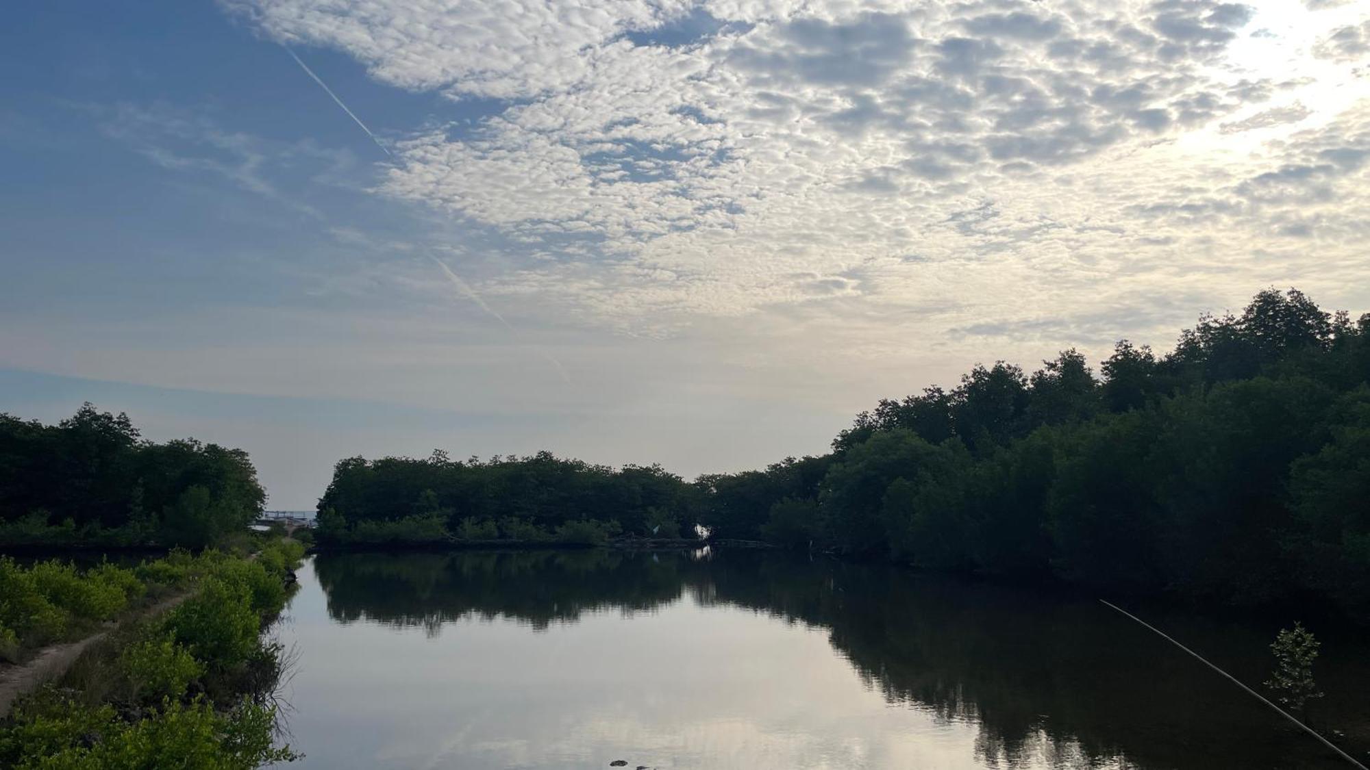 Mangrove Inn Karimunjawa Kültér fotó