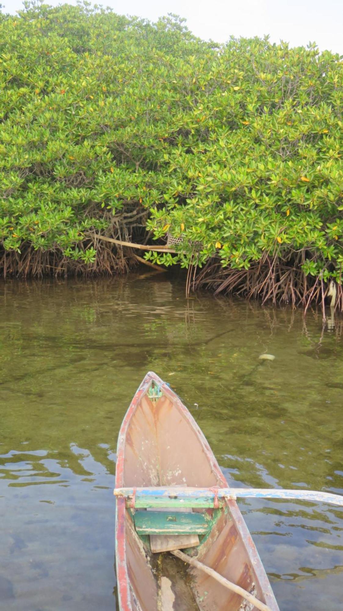 Mangrove Inn Karimunjawa Kültér fotó