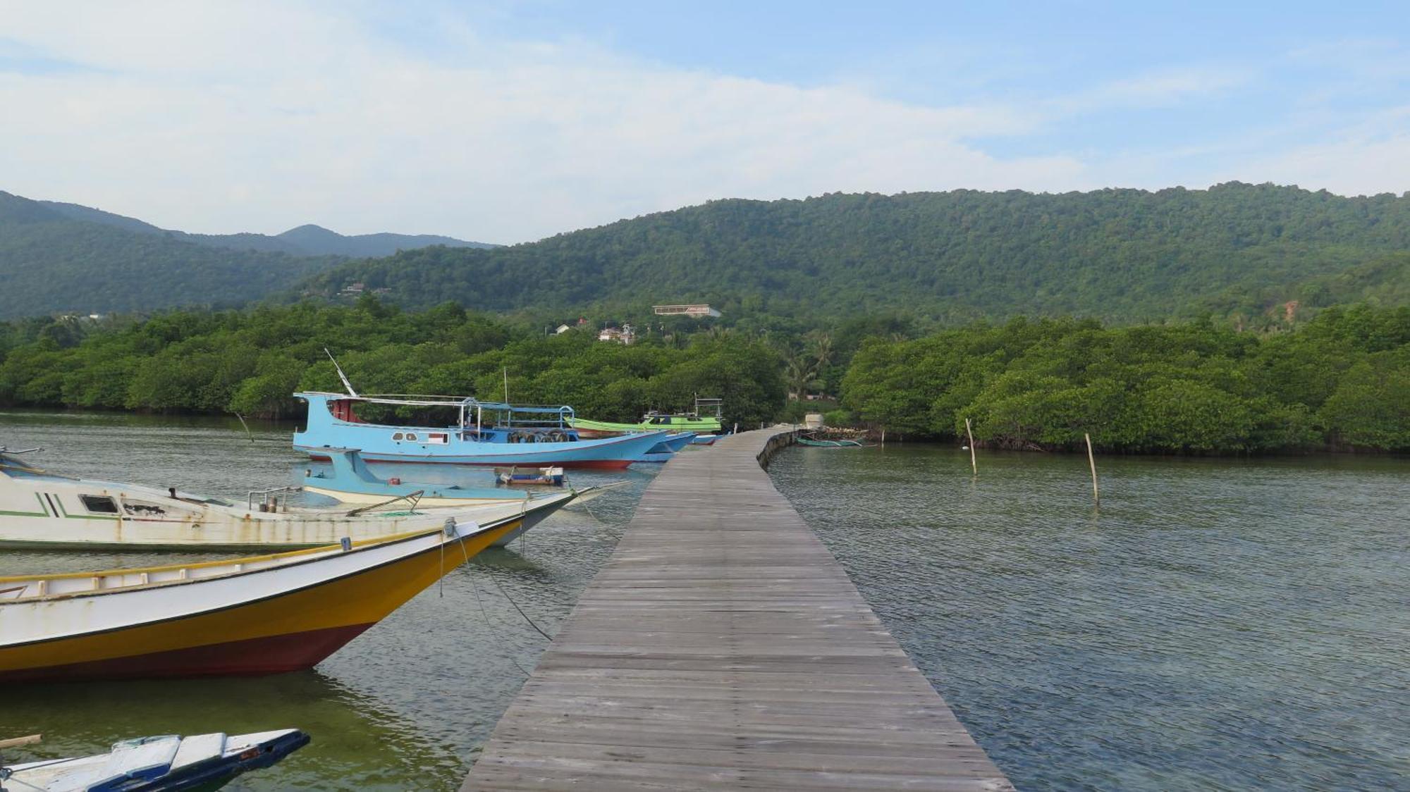 Mangrove Inn Karimunjawa Kültér fotó