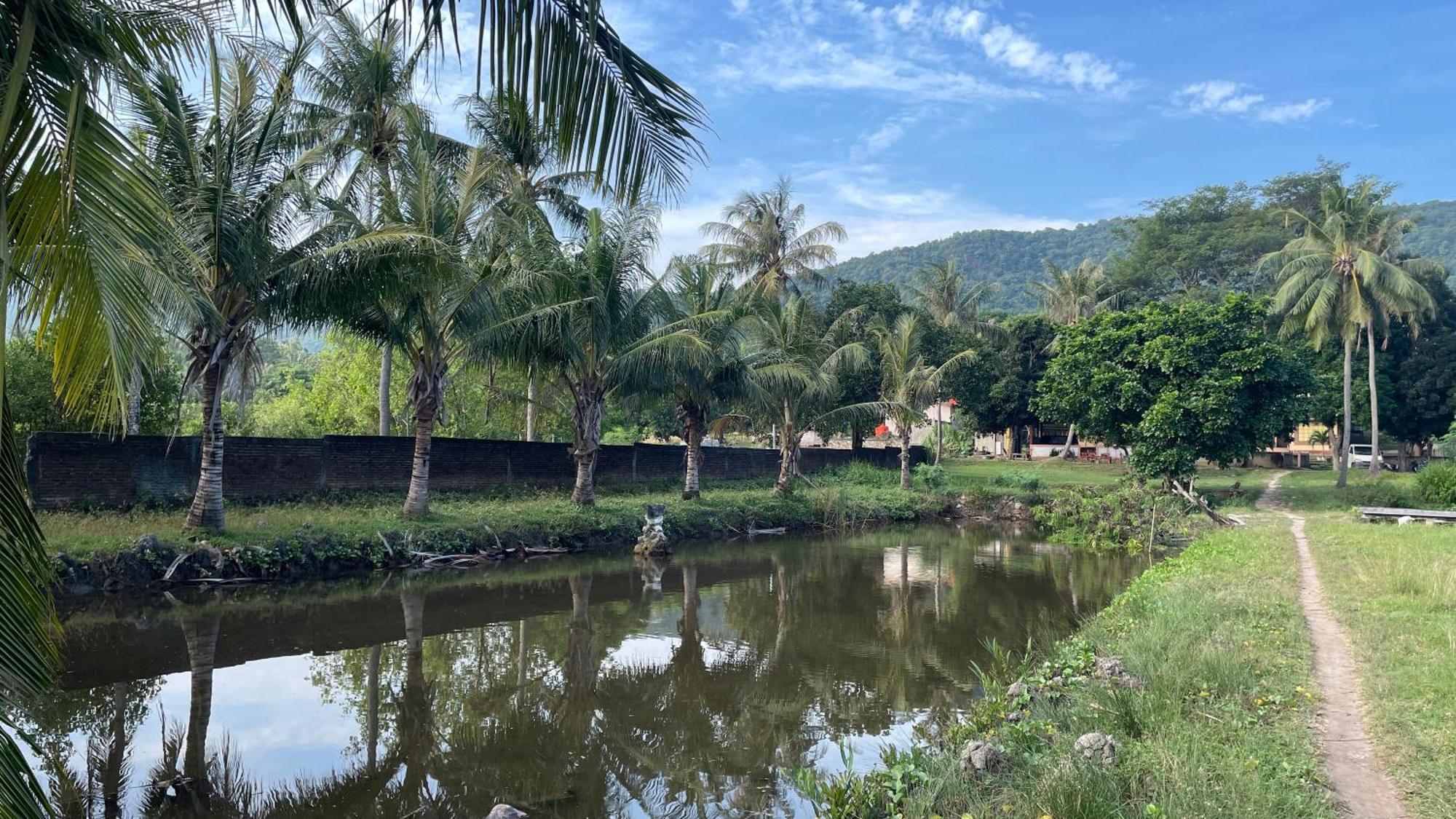 Mangrove Inn Karimunjawa Kültér fotó