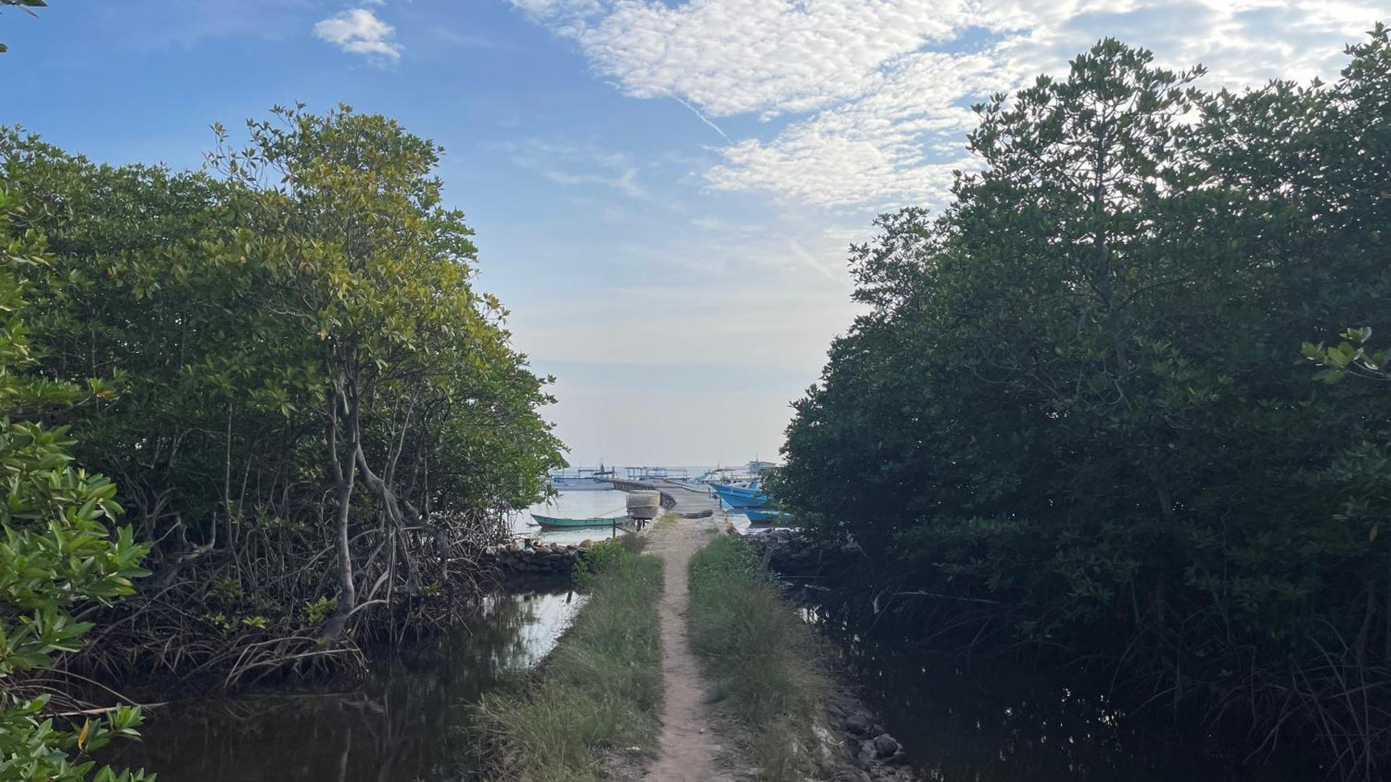 Mangrove Inn Karimunjawa Kültér fotó