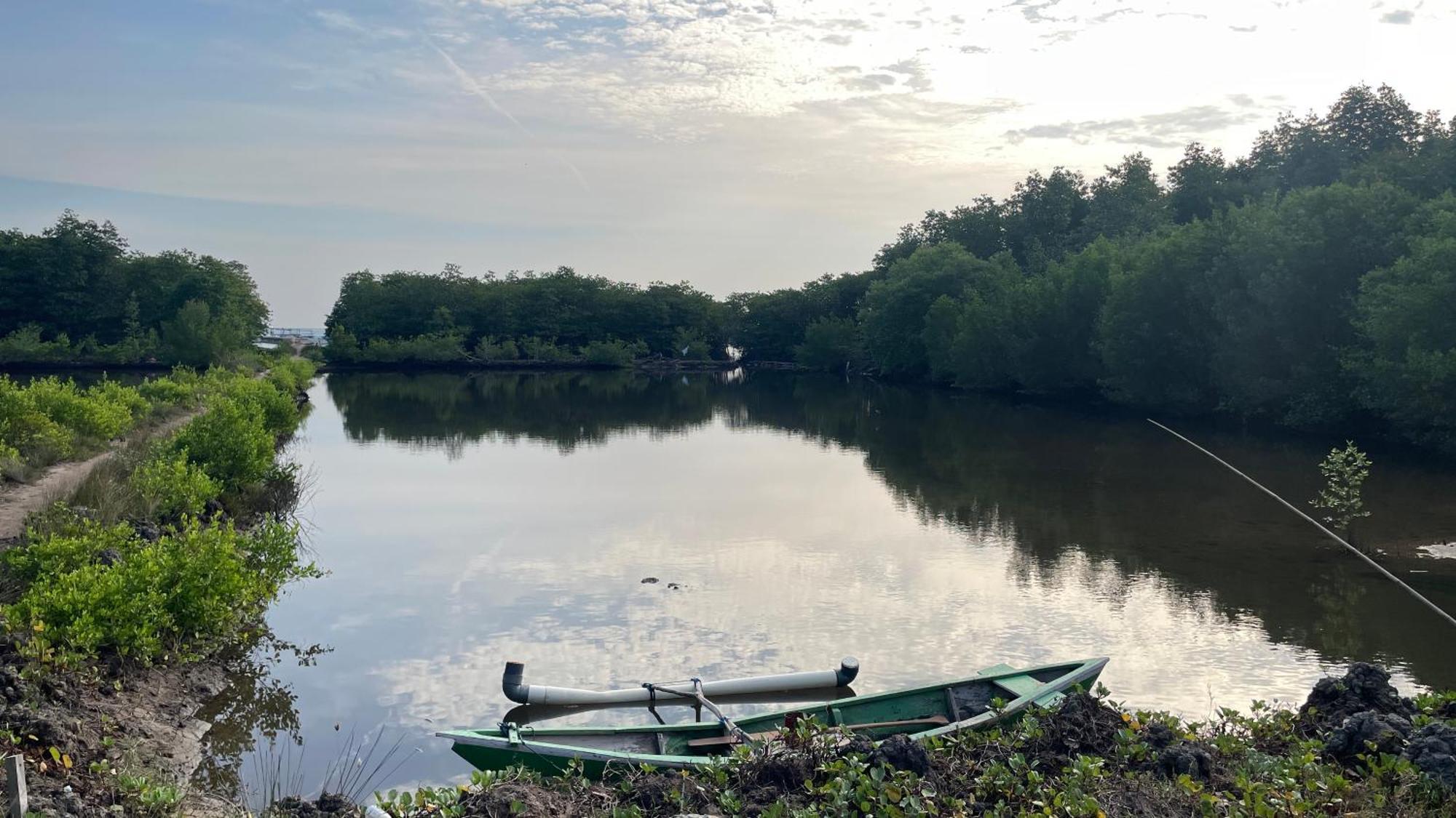 Mangrove Inn Karimunjawa Kültér fotó