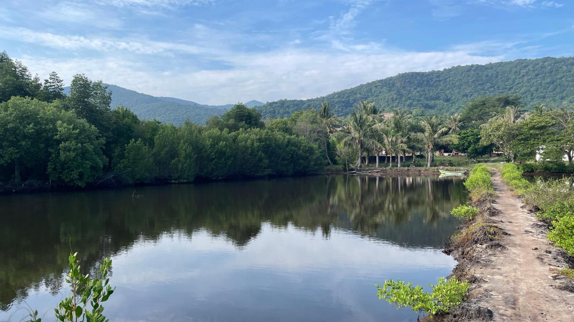 Mangrove Inn Karimunjawa Kültér fotó