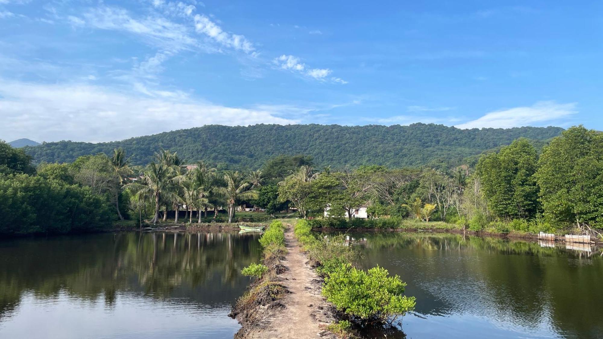 Mangrove Inn Karimunjawa Kültér fotó