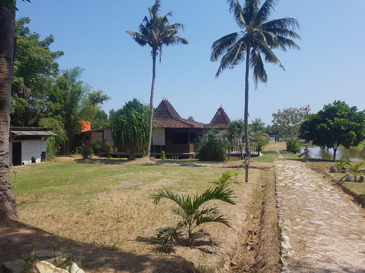 Mangrove Inn Karimunjawa Kültér fotó