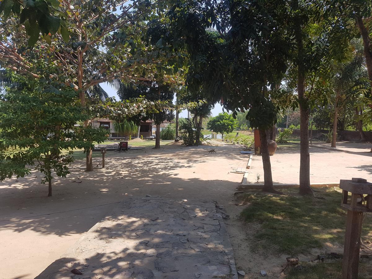 Mangrove Inn Karimunjawa Kültér fotó